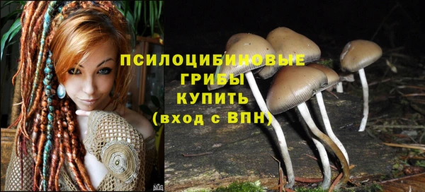 дурь Алзамай